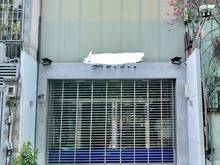 Hình ảnh Chính Chủ Cho Thuê Nhà Mặt Tiền Phường Tân Định Quận 1