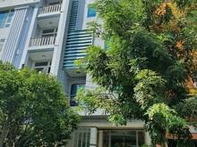 Hình ảnh Cho Thuê Gấp Mặt Tiền Đẹp – Ngang 8m dài 18m Đường Hoa Quận Phú Nhuận