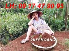 Hình ảnh Bán đất nền khu Thạnh Mỹ Lợi. Giá cực tốt