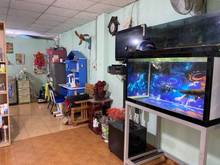 Hình ảnh Bán gấp nhà Linh Trung, Thủ Đức, ngang 4m. LH_909814788