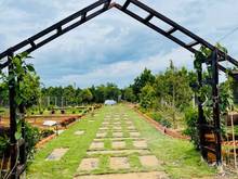 Hình ảnh Bán lô đất vườn diện tích 1068m2, giá 1 tỷ 300, đường oto đến đất