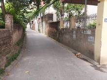 Hình ảnh Ô tô 7 chỗ thông - 2 đầu ngõ đều là vườn hoa - Bán đất Tổ 8 Thạch Bàn