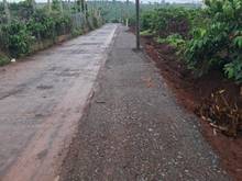 Hình ảnh Cần bán 2 lô đất Biển Hồ, TP Pleiku cạnh khu dân cư giá chỉ 63 triệu/m