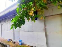 Hình ảnh Bán dãy trọ 105m - thu nhập 15tr/th - chỉ 4 tỷ 2 - ngay ĐH Cảnh Sát Th