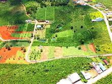 Hình ảnh Bán gấp lô đất 1000m2, đường DT725 ngay hồ Đaklong Thượng, Lộc Ngãi, g
