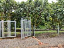 Hình ảnh Bán vườn xoài đang ra trái, cách Đường Nam Lộ 101 : 900m, giá từ 880tr