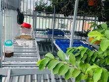 Hình ảnh CHỈ 4,1 TỶ, nguyễn văn lượng p17 GÒ VẤP,51m2,3 tầng, 5PN.