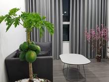 Hình ảnh Cho thuê Trang Chủ MB66.COM / Đăng Ký Tặng 66K như hình 2 phòng ngủ , 2WC Orchard garden