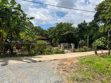 Hình ảnh Bán vườn trái cây view nghĩ dưỡng núi Chứa chan, KDL Gia Lào