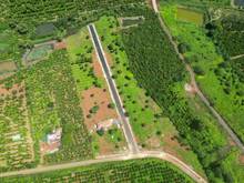 Hình ảnh Đất Nền Nghỉ Dưỡng Thổ Cư Tp. Bảo Lộc The Pine Hills BiburyVillage