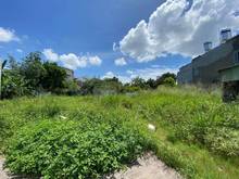 Hình ảnh cơ hội Trang MB66.COM Chính Thức - MB 66 Uy Tín cho tương lai, 6170M2 đất Phú Hoà Đông Củ Chi, giá 28 tỷ