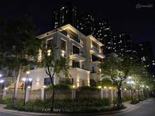Hình ảnh biệt thự đẹp sâ vườn quận 1- hồ bơi - DT: Hầm 3 lầu giá 110 tỷ