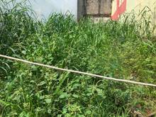 Hình ảnh Bán ĐẤT Quận 12 GIÁ rẻ- 85m2. Hẻm xe hơi thông.
