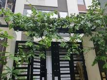 Hình ảnh Nhà phố Cầu Giấy 45m2x7 tầng thang máy, kinh doanh đỉnh,lô góc, 9,5 tỷ