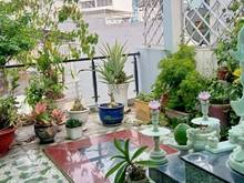 Hình ảnh Bán nhà 5 tầng mới đẹp HXH ngay Cviên Nguyễn Sỹ Sách-chợ Tân Trụ- 54m2