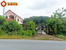 Hình ảnh Bán nhà đường Nguyễn Thị Rành - 905m2 - 16x58 - 300m2 thổ cư - Củ Chi