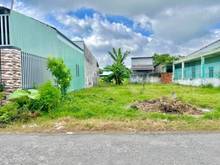 Hình ảnh Bán Đất Vườn Có Thổ Bình Chánh 250m2 giá 900tr SHR