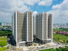 Hình ảnh Mình chuyên cho thuê Trang Chủ MB66.COM / Đăng Ký Tặng 66K Q7 Saigon Riverside , nhiều căn lựa chọn .