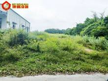 Hình ảnh Bán đất đường Tăng Thị Hội - 206m2 - 5x46 - 206m2 thổ cư - Củ Chi
