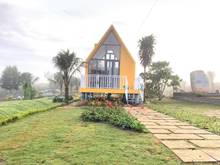 Hình ảnh BẠN MUỐN ĐẦU TƯ SINH LỜI CAO - Hãy đến với Homestay SUNFLOWER