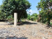 Hình ảnh 541m2 đất vườn cây ăn trái-giá 620Triệu