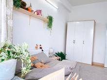 Hình ảnh Khai Trương Căn Hộ Dịch Vụ 1PN_ ngay khu ẩm thực Vạn Kiếp