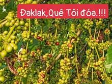 Hình ảnh 💥💥30Triệu 1m2,Ngô Chí Quốc,173,2m2(6mx29m) Chỉ 5tỷ 2.