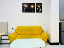 Hình ảnh Siêu phẩm CĂN HỘ Studio bancong tại Tân Quy, Q7 gần lottemart, vivo