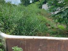Hình ảnh Bán lô đất mặt tiền phường Tân Bình TP Dĩ An