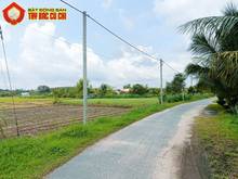 Hình ảnh Đất đường 681 - 1016m2 - 16x65 - 315m2 thổ cư - xã Thái Mỹ - Củ Chi
