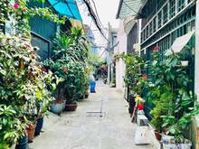 Hình ảnh Bán nhà mới P.16 2 lầu ST 4PN hẻm 3m HH 1%
