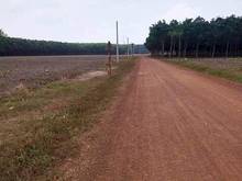 Hình ảnh Cần ra đi miếng đất 1000m2 có sổ hồng Phú Riềng- Bình Phước