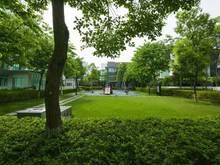 Hình ảnh Cho thuê liền kề Evelyne- Park City, 120m2, 3 tầng, nội thất đẹp