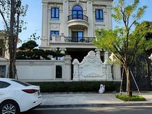 Hình ảnh Cho thuê Biệt thự Vimeco Nguyễn Chánh. Diện tích 145m2, 4 tầng, 1 hầm