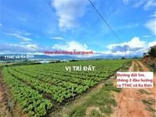 Hình ảnh Cơ hội sở hữu 1039m2 đất nền tuyệt đẹp ngay tại xã Ka Đơn, Đơn Dương