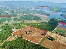 Hình ảnh Bán đất giá rẻ tại xã Phúc Thọ, Lâm Hà view Hồ săn mây tuyệt đẹp