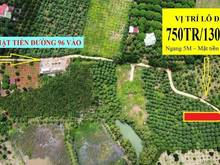 Hình ảnh Bán vườn Quýt ở Định Quán, 760tr/sao, cách Ql20 chỉ 1,5km