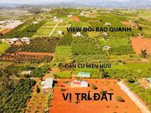 Hình ảnh Bán gấp đất Nam Hà, Lâm Hà 1.3 tỷ, 627m2, sẵn 100m2 thổ cư, view đẹp