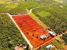 Hình ảnh Bán đất xã Nam Hà, Lâm Hà 1.27 tỷ, 525m2, sổ hồng riêng, hạ tầng chuẩn