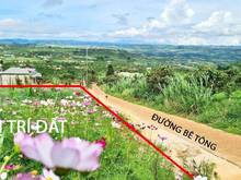 Hình ảnh Đất view mây đồi xã Đan Phượng, Lâm Hà-vị trí nghỉ dưỡng giá 1 không 2