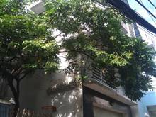 Hình ảnh Nhà xinh rẻ 6.7 x 9m Hoàng Văn Thụ Q. Phú Nhuận TP.HCM