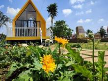 Hình ảnh bán đất tặng kèm homestay trên đất