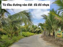 Hình ảnh BÁN ĐẤT ĐỒNG NAI, DT 1000m2 ( 14,8m  x  69m) - GIÁ  480Tr , VAY NH 60%