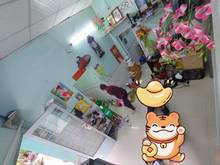 Hình ảnh Bán nhà HXH 49m2 Đường Phạm Thế Hiển, phường 7,quận 8,TPHCM