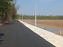 Hình ảnh Cần bán gấp đất Lộc Thịnh, Lộc Ninh dt 5x40x100tc giá Trang MB66.COM Chính Thức - MB 66 Uy Tín