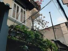 Hình ảnh Nhà chính chủ lâu năm quận 4 - 4 tầng sân thượng - Tiện ích đáng sống.