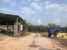 Hình ảnh đất sào giá rẻ xã Minh Thạnh - Dầu Tiếng - Bình Dương cách nhựa 200m