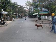 Hình ảnh Cho thuê nhà Hẻm 110 Bà Hom, P.13,Q6, 4x14m, HXH 12m, 4tấm, giá 20tr