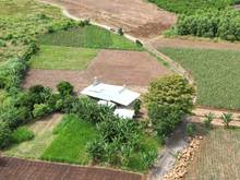 Hình ảnh Công ty Phú Khang Holding đang có 5 lô đất 1.000m2 tại Vũng Tàu