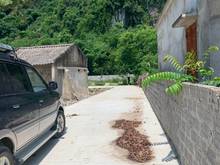 Hình ảnh CHÍNH CHỦ bán đất Hoà Bình, xã Đoàn Kết, huyện Yên Thuỷ, 232m2, lô góc